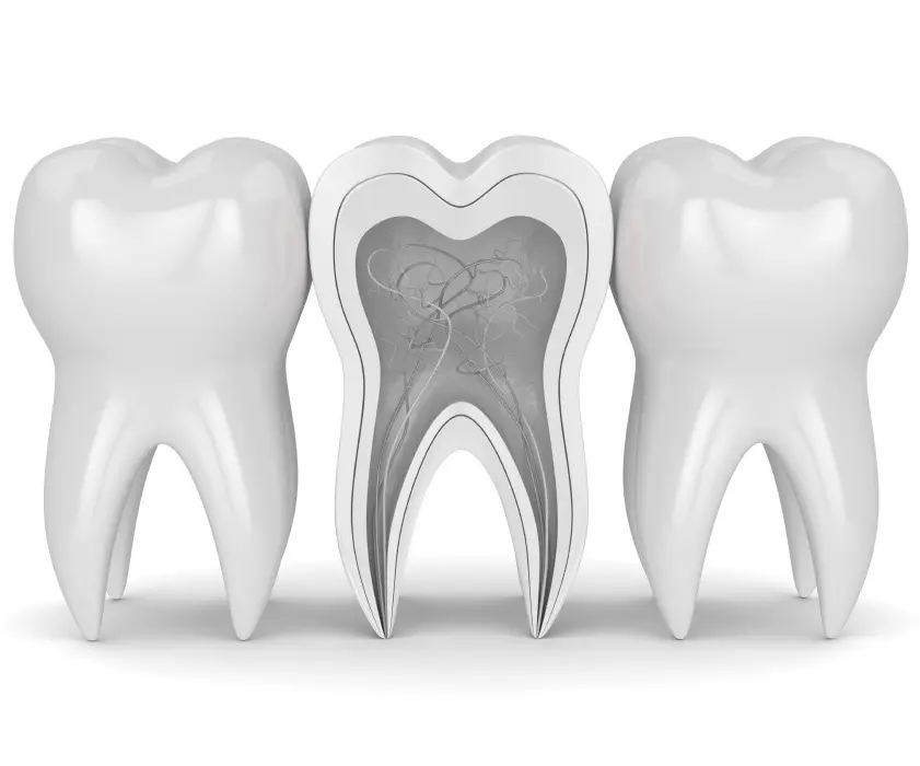 General dentistry | LIJEČENJE ZUBA